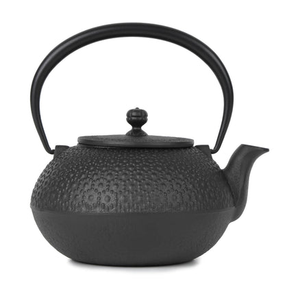 Cast Iron Teapot Tetsubin Tea Kettle Nambu Tekki
