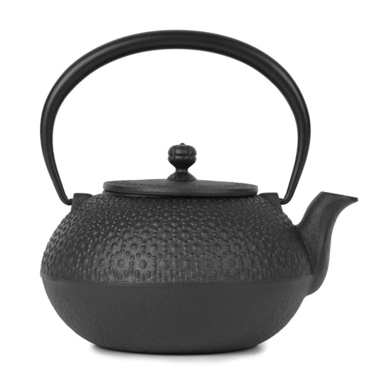 Cast Iron Teapot Tetsubin Tea Kettle Nambu Tekki