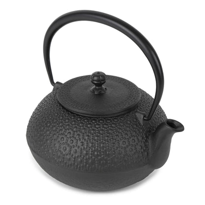 Cast Iron Teapot Tetsubin Tea Kettle Nambu Tekki