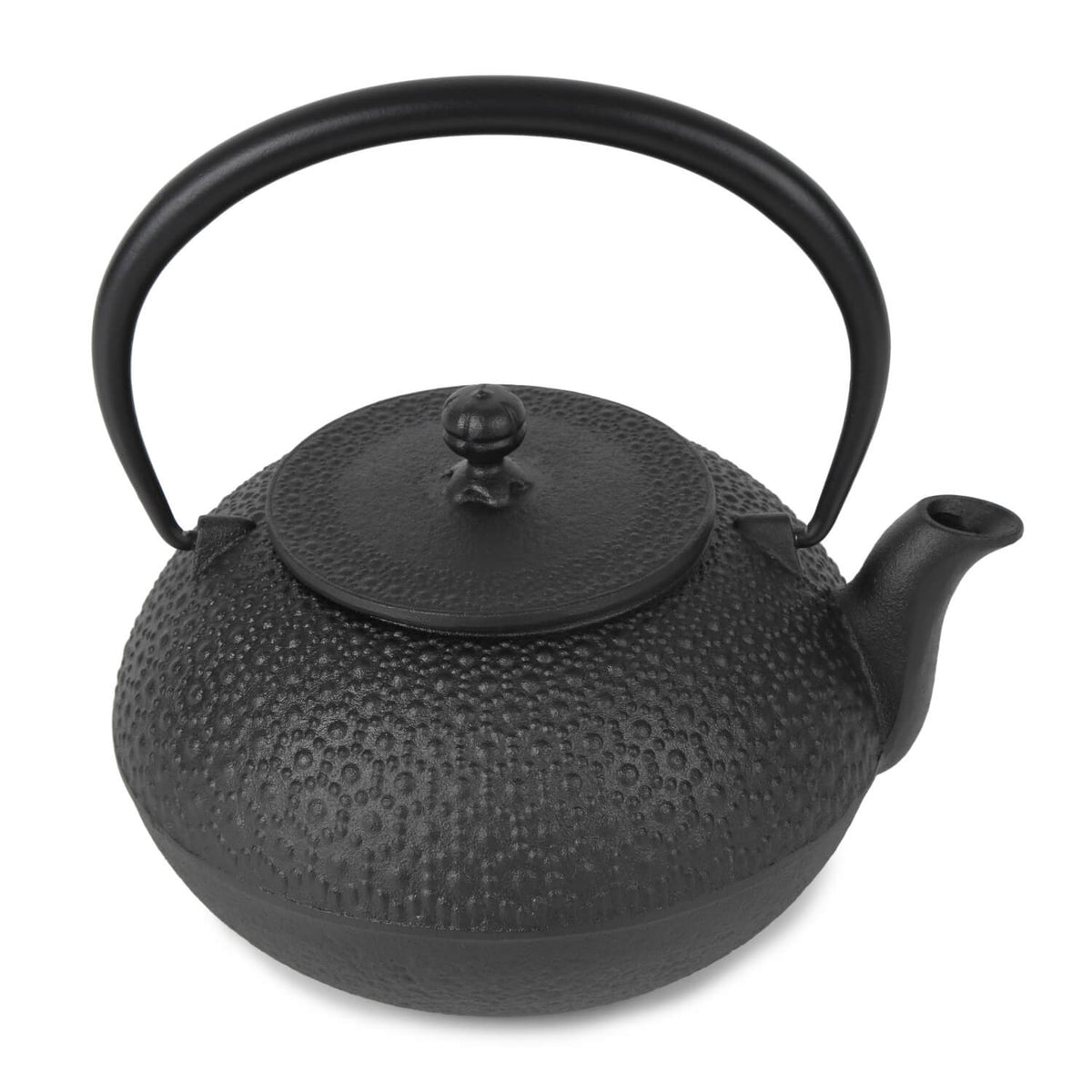 Cast Iron Teapot Tetsubin Tea Kettle Nambu Tekki
