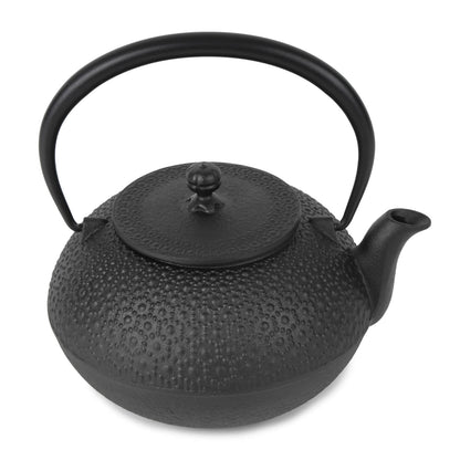 Cast Iron Teapot Tetsubin Tea Kettle Nambu Tekki