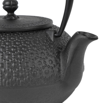 Cast Iron Teapot Tetsubin Tea Kettle Nambu Tekki