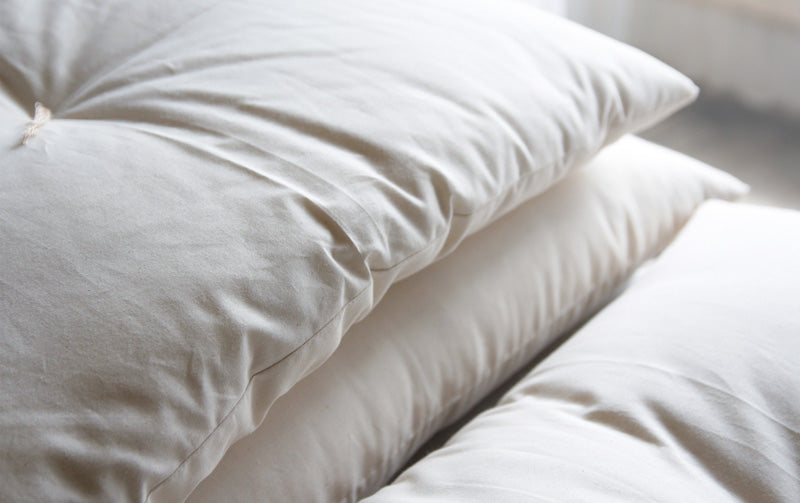 US STOCK GOTS Certified Organic Pillow Standard Thickness