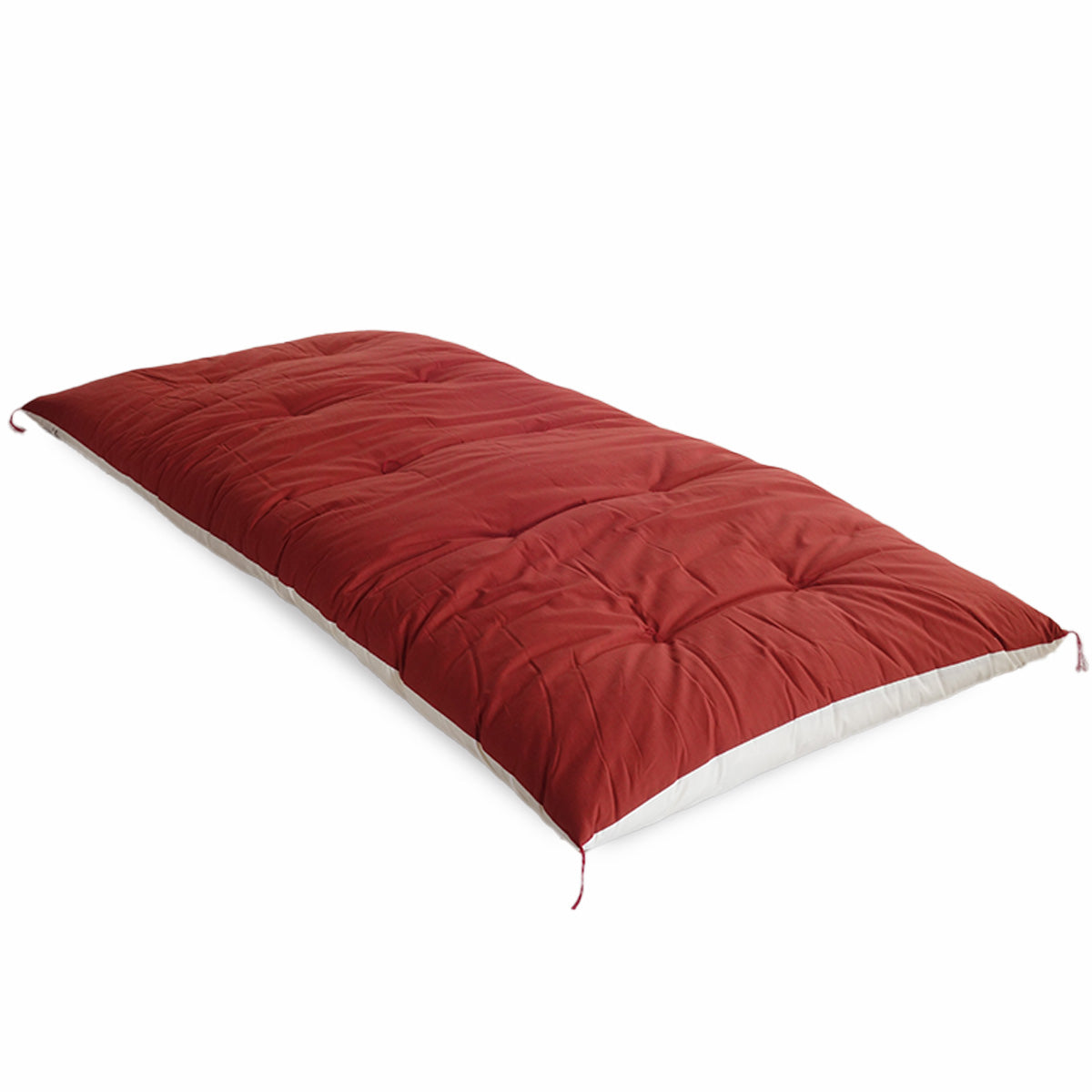 Bicolor