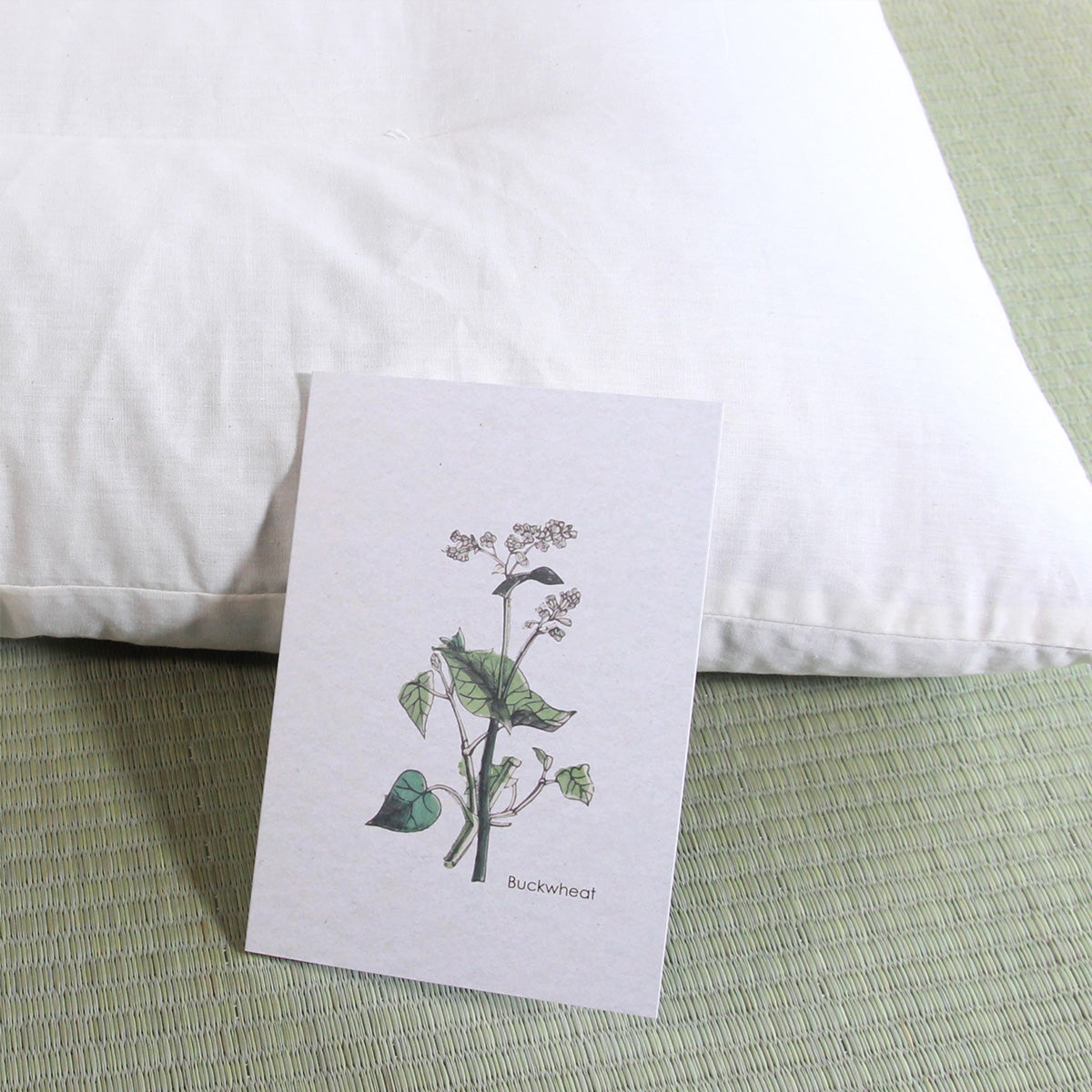 Small 35 × 50 cm (13.8 × 19.7 in) - 1.5 kg (3.3 lb)
