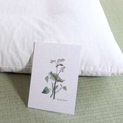 Small 35 × 50 cm (13.8 × 19.7 in) - 1.5 kg (3.3 lb)